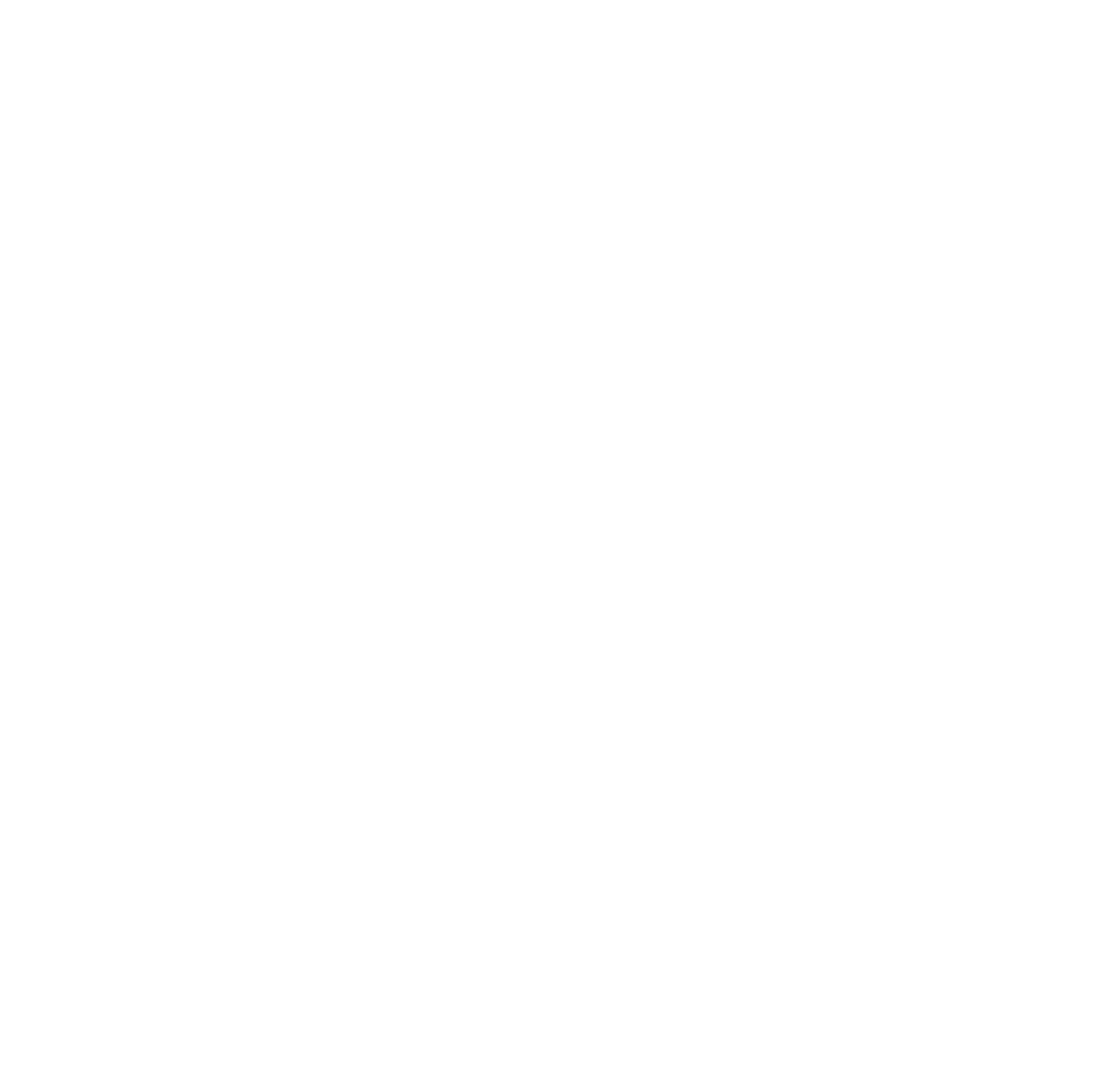 Max visual